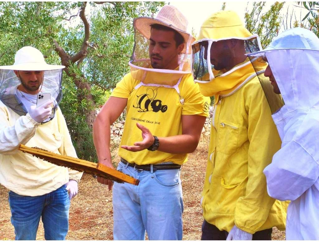 Bees Experience - Visita in Apiario