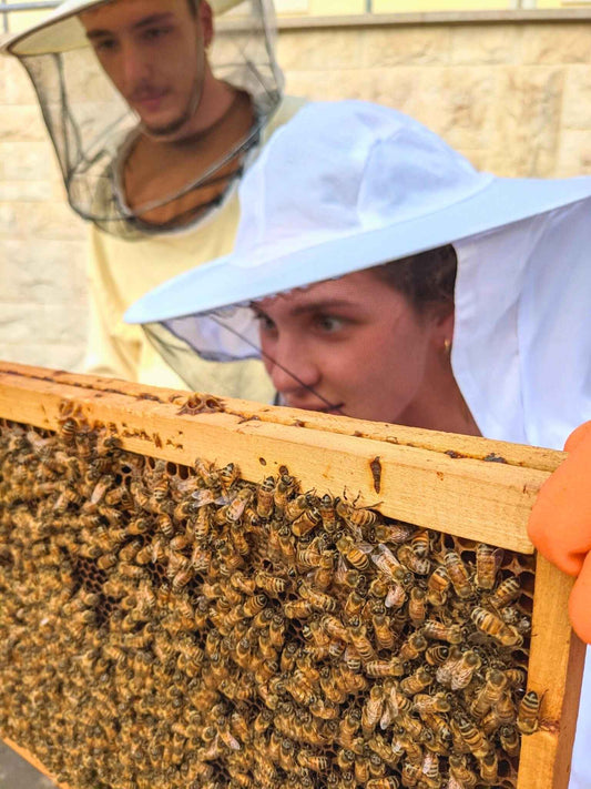 Bees Experience - Visita in Apiario